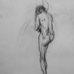 back drawing c. Anthem - anatomy drawing