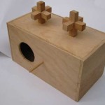 Plan for a Cathedral (Kaneesa) Keneesa