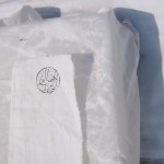 Shahid (detail) Shahid (detail)