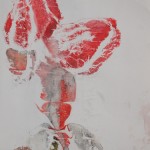 blotting 2 blotting 2