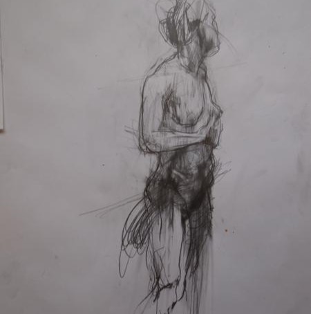 Anatomy Study 2